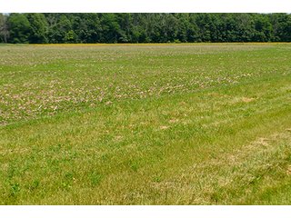 Property photo 122 - LAND AUCTION - 700+/- ACRES OFFERED IN 16 TRACTS IN ALLEN COUNTY, INDIANA
